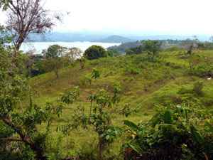 The six acres as seen from the Tronadora highway.